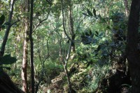 /album/photo-gallery-photography/a182743-203952242954481-100000191215198-936390-2284507-n-jpg2/