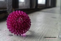 /album/photo-gallery-photography/dsc00757-jpg/